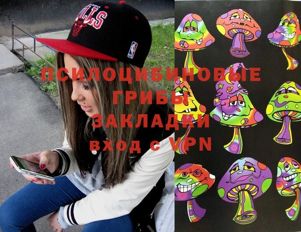 прущие крисы Коряжма