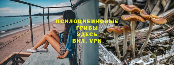 шишки Фёдоровский