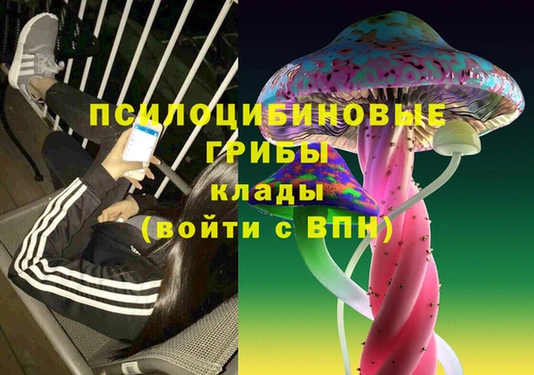каннабис Корсаков