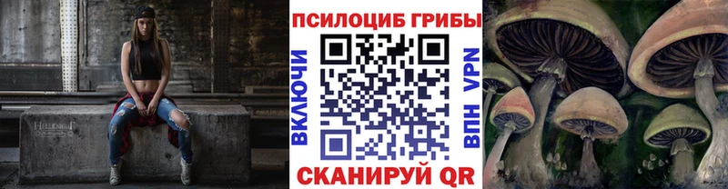 закладка  Сольвычегодск  Псилоцибиновые грибы Magic Shrooms 