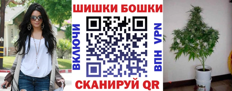 Шишки марихуана SATIVA & INDICA  где найти   Сольвычегодск 